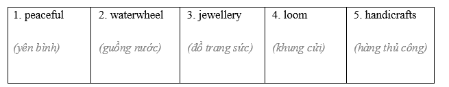 Vocabulary & Grammar - Unit 4. Ethnic groups of Viet Nam - SBT Tiếng Anh 8 Global Success 2 1
