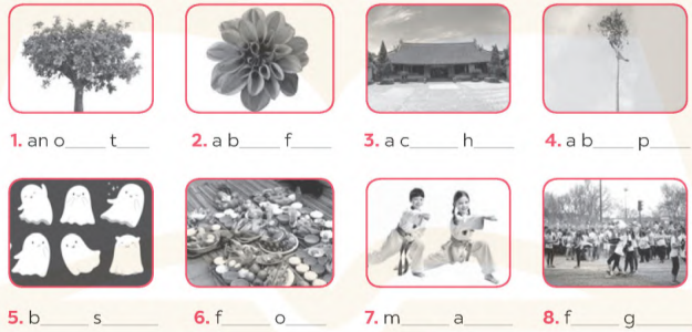 Vocabulary & Grammar - Unit 5. Our customs and traditions - SBT Tiếng Anh 8 Global Success 0 1