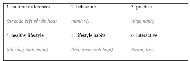 Vocabulary & Grammar - Unit 6. Lifestyles - SBT Tiếng Anh 8 Global Success 1 2
