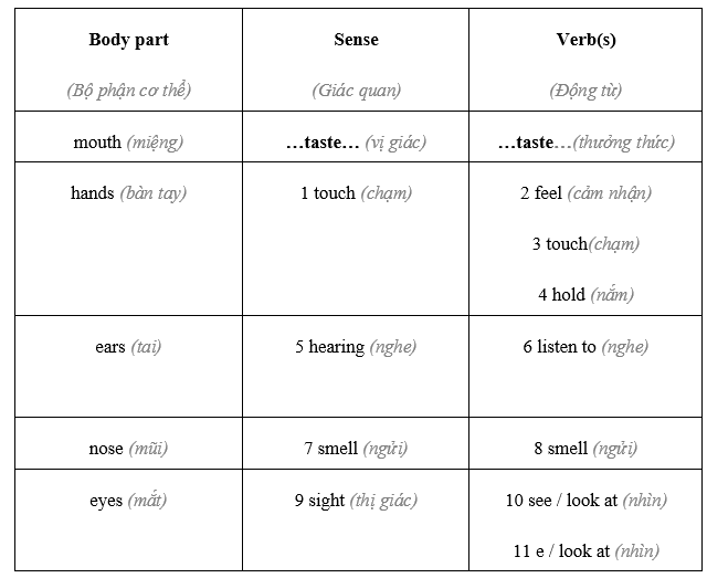 Vocabulary: Senses - Unit 2. Sensations - SBT Tiếng Anh 8 Friends Plus 0 2