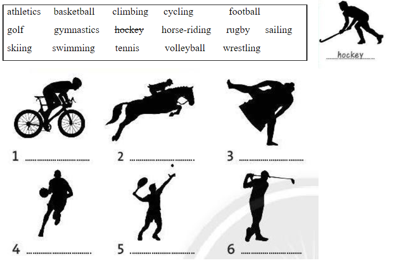 Vocabulary: Sports - Unit 6 - SBT Tiếng Anh 6 - Friends Plus (Chân trời sáng tạo) 0 1