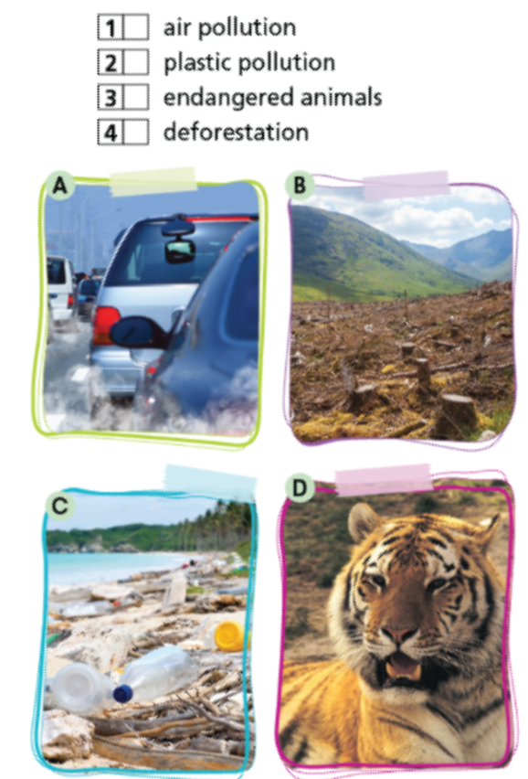 Vocabulary: The enviroment and school green activities - Unit 6. Be green - SBT Tiếng Anh 7 Right on! 0 1