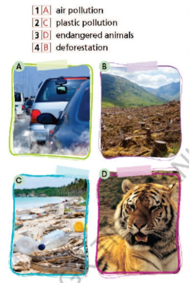 Vocabulary: The enviroment and school green activities - Unit 6. Be green - SBT Tiếng Anh 7 Right on! 0 2