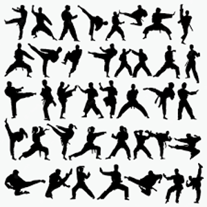 Image Example for martial arts