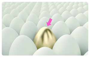 Image Example for special