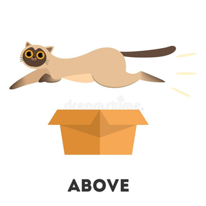 Image Example for above