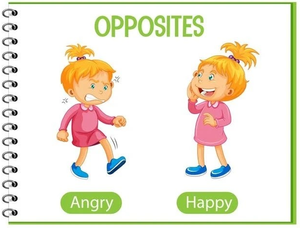 Image Example for opposite