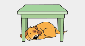 Image Example for under