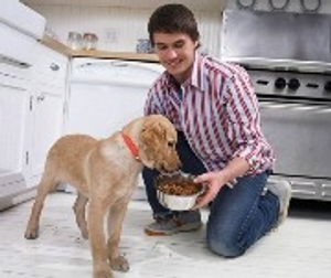 Image Example for feed