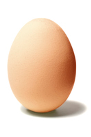 Image Example for egg