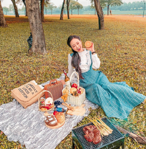 Image Example for picnic