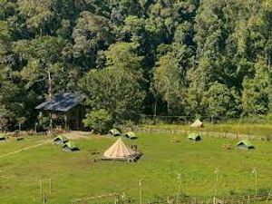 Image Example for camp