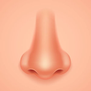Image Example for nose