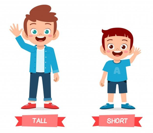 Image Example for short