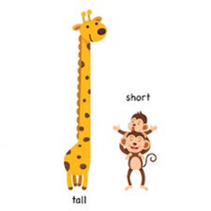 Image Example for tall
