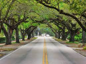 Image Example for way