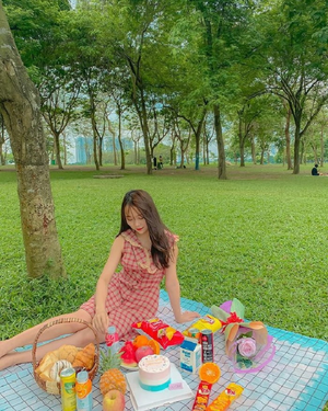 Image Example for picnic