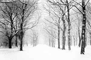 Image Example for snowing