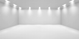 Image Example for empty