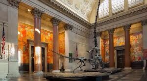 Image Example for museum