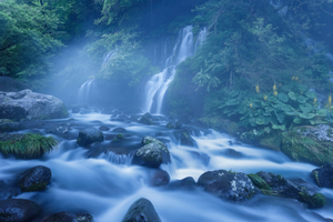 Image Example for picture