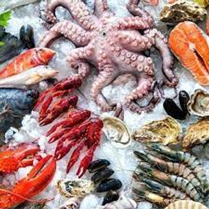 Image Example for seafood