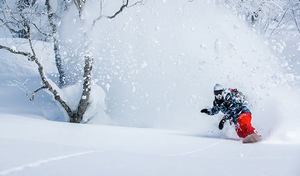 Image Example for snow