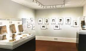 Image Example for exhibits