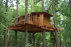 Image Example for tree house