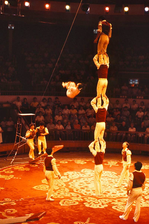 Image Example for acrobats