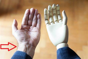 Image Example for real