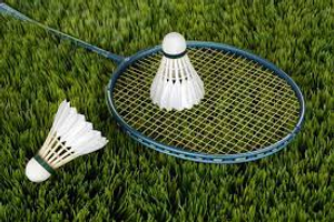 Image Example for badminton
