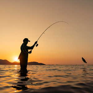 Image Example for fishing
