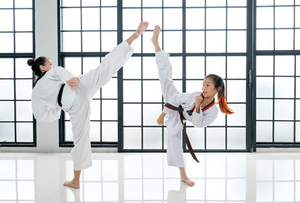 Image Example for karate
