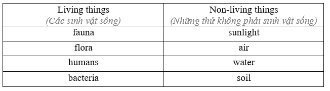 Vocabulary - Unit 10. The ecosystem - SBT Tiếng Anh 11 Global Success 0 2