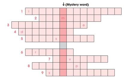 Vocabulary - Unit 3. Cities of the future - SBT Tiếng Anh 11 Global Success 0 1