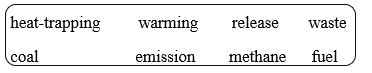 Vocabulary - Unit 5. Global warming- SBT Tiếng Anh 11 Global Success 0 1