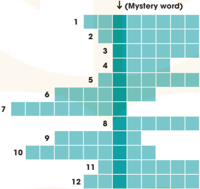 Vocabulary - Unit 7: Viet Nam and International Organisations - SBT Tiếng Anh 10 Global Success 0 1