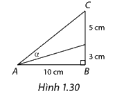 Bài 1.15 trang 19 SGK Toán 11 tập 1 - Cùng khám phá 1