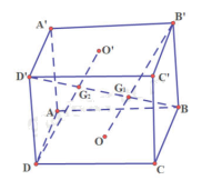 Bài 1 trang 113 SGK Toán 11 tập 1 - Cánh Diều 2