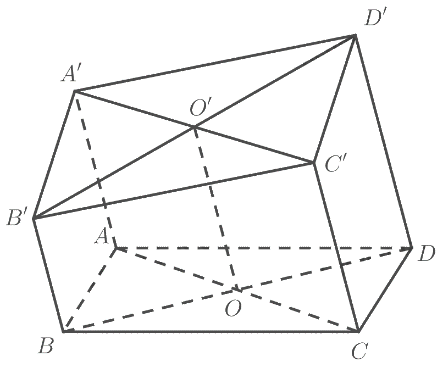 Bài 1 trang 119 SGK Toán 11 tập 1 - Chân trời sáng tạo 2