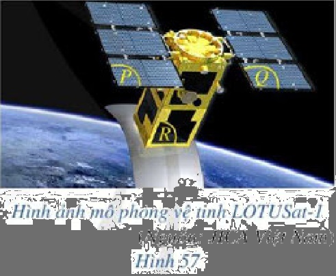 Bài 1 trang 99 SGK Toán 11 tập 2 - Cánh Diều 1