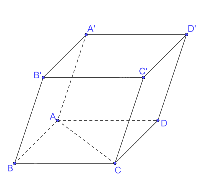Bài 12 trang 106 SGK Toán 11 tập 2 - Kết nối tri thức 2