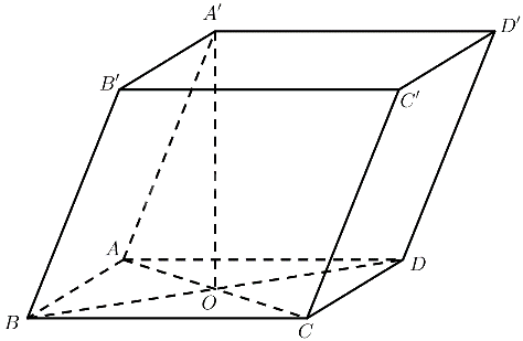 Bài 13 trang 87 SGK Toán 11 tập 2 – Chân trời sáng tạo 2