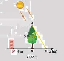 Bài 14 trang 42 SGK Toán 11 tập 1 - Chân trời sáng tạo 1