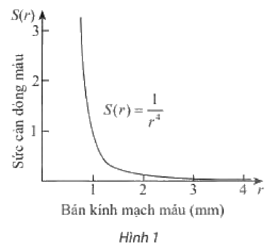 Bài 14 trang 52 SGK Toán 11 tập 2 - Chân trời sáng tạo 1