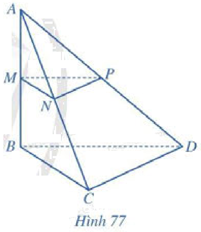 Bài 2 trang 106 SGK Toán 11 tập 2 - Cánh Diều 1