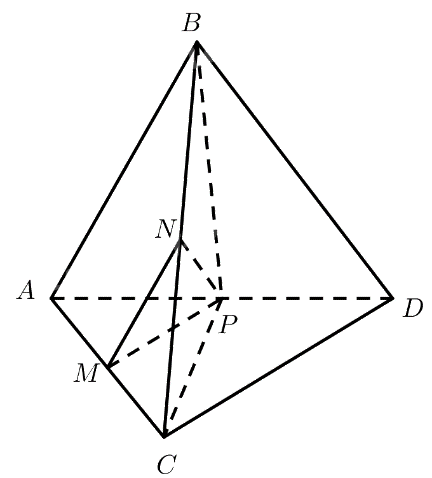 Bài 2 trang 56 SGK Toán 11 tập 2 – Chân trời sáng tạo 2