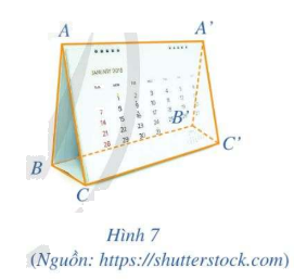 Bài 2 trang 79 SGK Toán 11 tập 2 - Cánh Diều 1