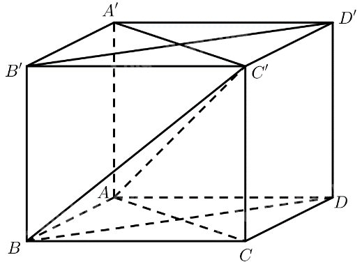 Bài 3 trang 115 SGK Toán 11 tập 2 - Cánh Diều 2